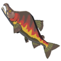 Hearty Salmon icon from Hyrule Warriors: Age of Calamity