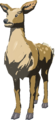 Mountain Doe