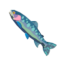 TotK Chillfin Trout Icon.png