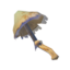 TotK Toasty Silent Shroom Icon.png