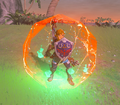 Link guarding with Daruk's Protection