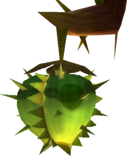 SS Water Fruit Model.png