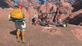 Amber Dealer