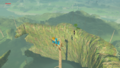 One of the Koroks found on the Crenel Hills from Breath of the Wild