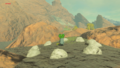 The Korok found in the East Deplian Badlands from Breath of the Wild