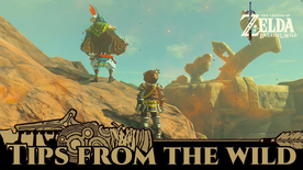 BotW Tips from the Wild Banner 20.png
