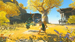 Blocking screenshot from Tears of the Kingdom