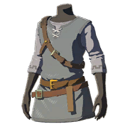 HWAoC Tunic of the Wild Gray Icon.png
