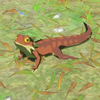 081 Hightail Lizard