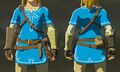 Link wearing the Champion's Tunic from Breath of the Wild
