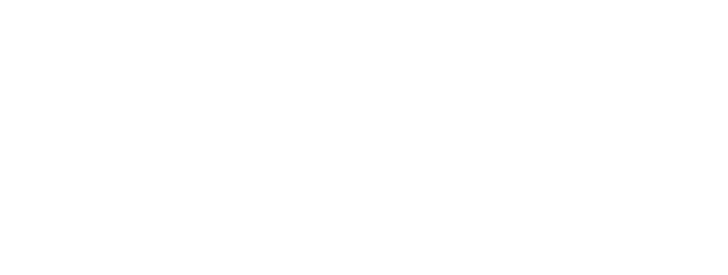 File:LANS Japanese Logo.png
