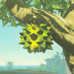 BotW Hyrule Compendium Hearty Durian.png