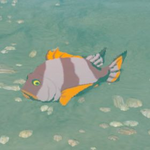 BotW Hyrule Compendium Mighty Porgy.png