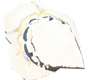 TotK Shard of Light Dragon's Fang Model.png