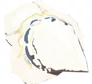 Shard of Light Dragon's Fang model from Tears of the Kingdom