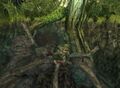 Unused forest in Twilight Princess