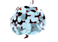 Ice Chuchu