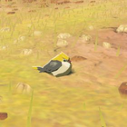 Golden Sparrow Normal: 035 (035) Master: 035 (035)