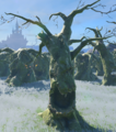 A slender Ogre Tree from Tears of the Kingdom