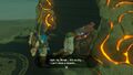 Pokki at the beginning of "The Perfect Drink" in Breath of the Wild