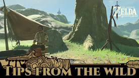 BotW Tips from the Wild Banner 15.png