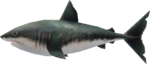 MM3D Savage Shark Model.png