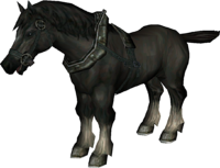 Normal Horse.png