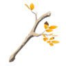 TotK Tree Branch Icon.png