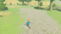 A promotional video of the Link (Ocarina of Time) amiibo being scanned from Breath of the Wild