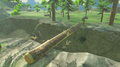 A newly chopped down Tree from Breath of the Wild