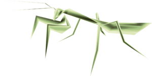 TP Male Mantis Render.png