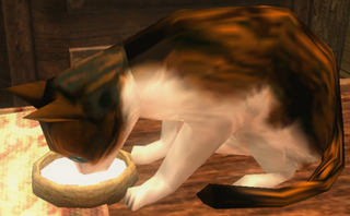 Cat model from Twilight Princess HD