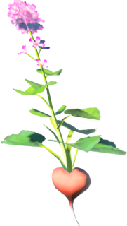 Hearty Radish model from Tears of the Kingdom