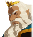 King Rhoam's portrait from Hyrule Warriors: Age of Calamity