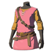 HWAoC Tunic of the Wild Peach Icon.png