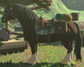 Model of Link's Horse from Breath of the Wild
