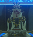 The Monk, Akh Va'quot, bearing the Eye Symbol on his facial cloth covering from Breath of the Wild