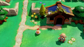 Kakariko Village Cucco