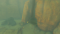 The entrance to the Stalry Plateau Cave from Tears of the Kingdom