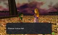 Young Link and Adult Zelda
