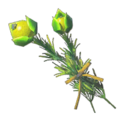 Hyrule Herb icon from Hyrule Warriors: Age of Calamity