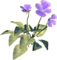 Swift Violet