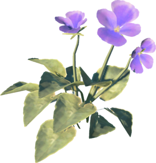 Swift Violet model from Tears of the Kingdom