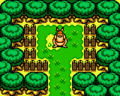 Ricky in his Home from Oracle of Seasons