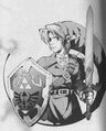 Link as he appears in the Akira Himekawa manga