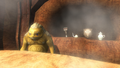 Goron Store