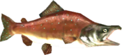 TP Reekfish Model.png