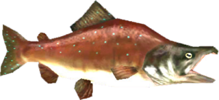 TP Reekfish Model.png
