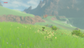 The Korok found on the East Akkala Plains from Breath of the Wild