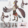Concept art of a Rito man from Creating a Champion